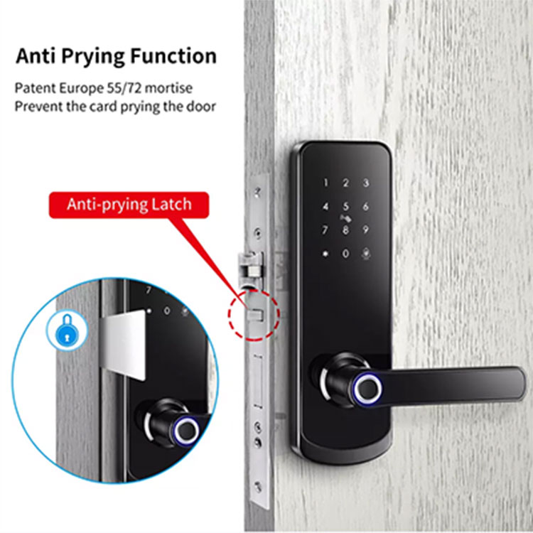 Biometrisches Fingerabdruck-Smart-Türschloss – FM 230N