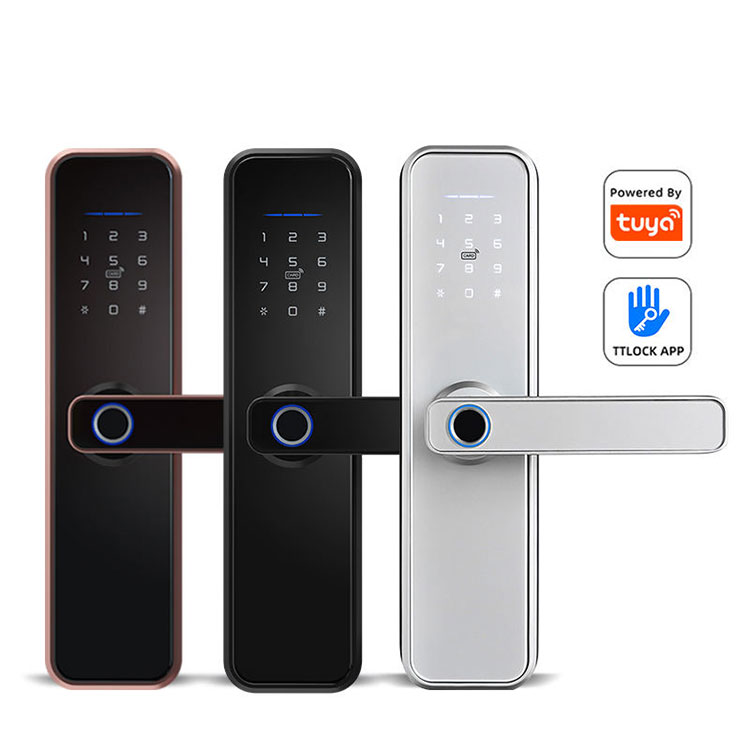 Biometrisches Smart Lock – FM 550