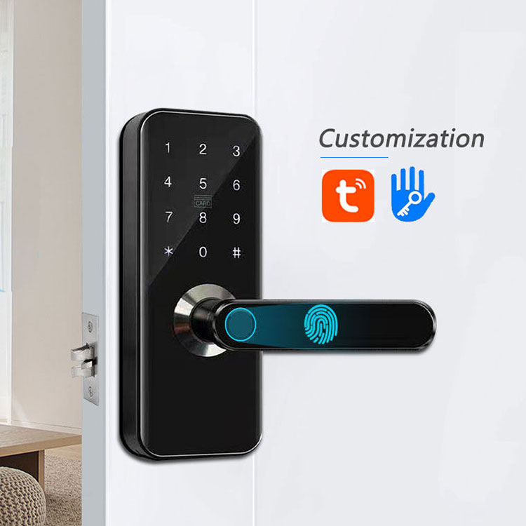 Intelligentes Fingerabdruck-Türschloss – FM 820