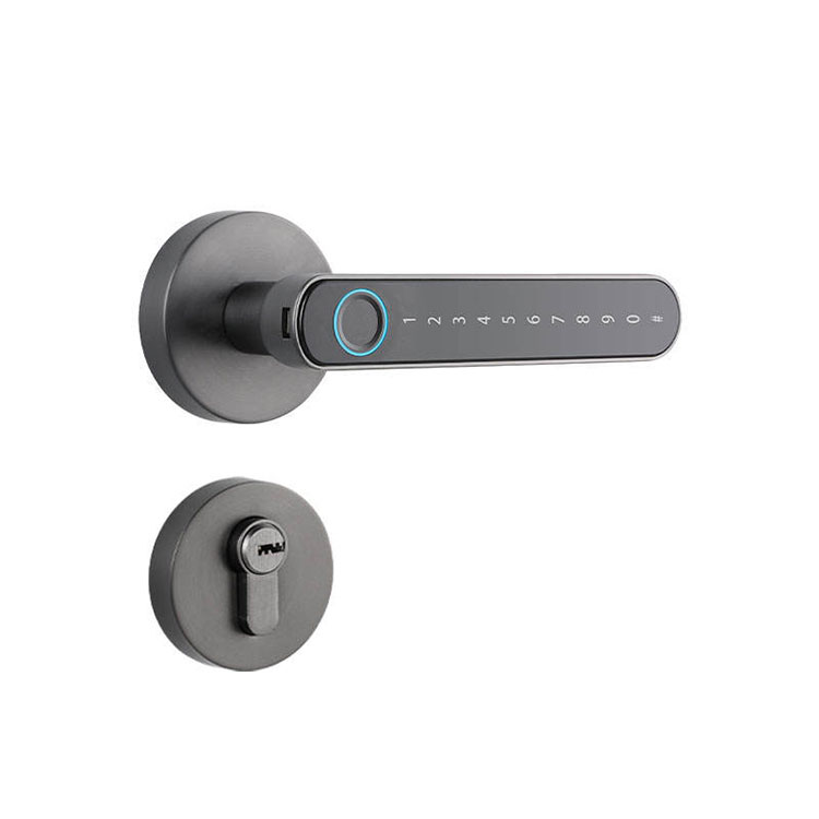 Intelligentes Griffschloss – FM T6